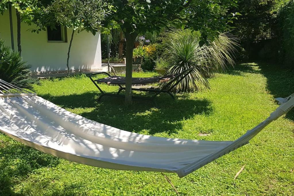 Countryhouse Gli Ulivi Modugno Zewnętrze zdjęcie