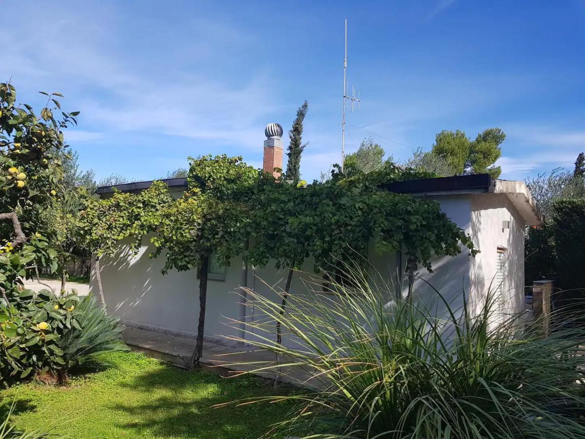 Countryhouse Gli Ulivi Modugno Zewnętrze zdjęcie