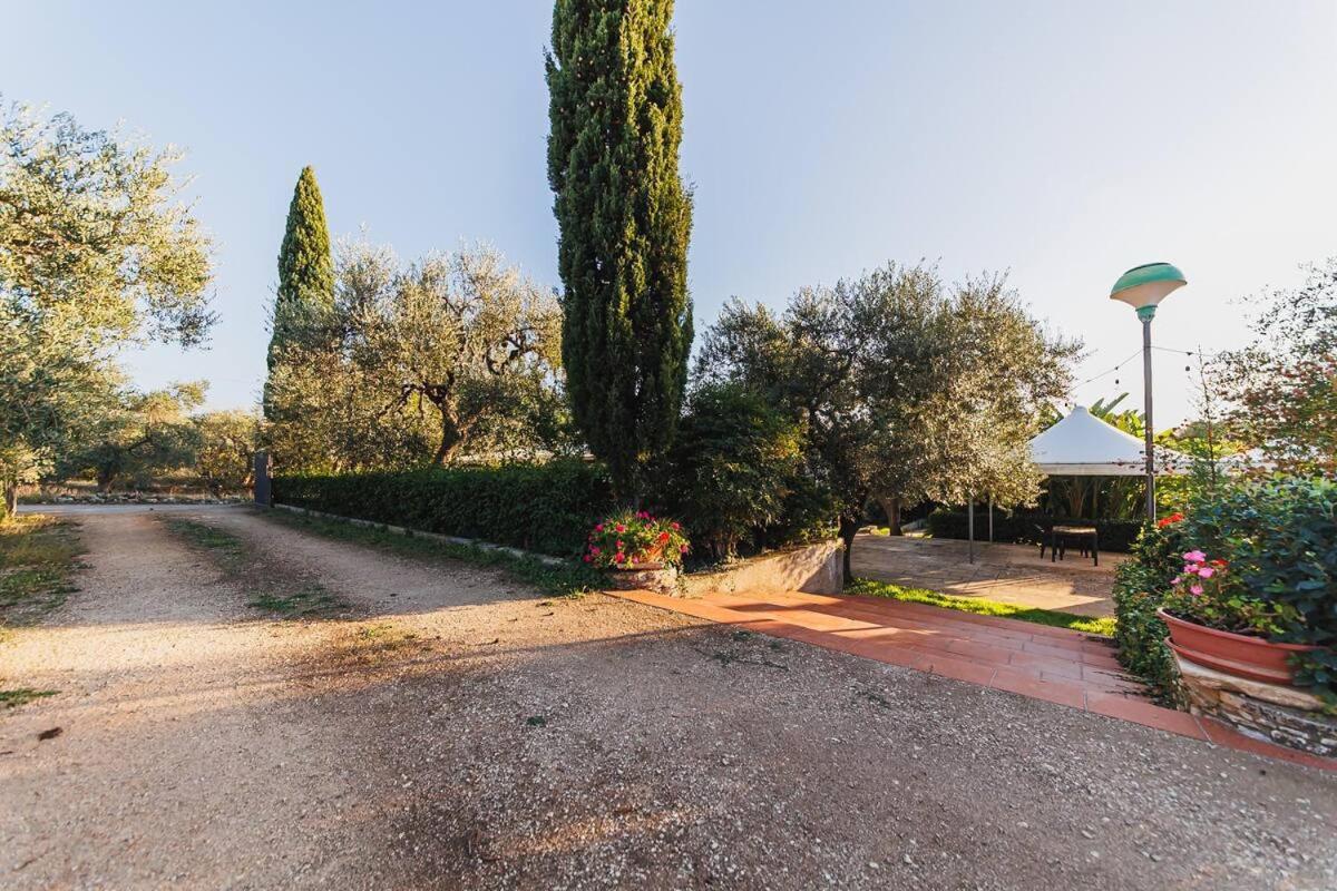 Countryhouse Gli Ulivi Modugno Zewnętrze zdjęcie